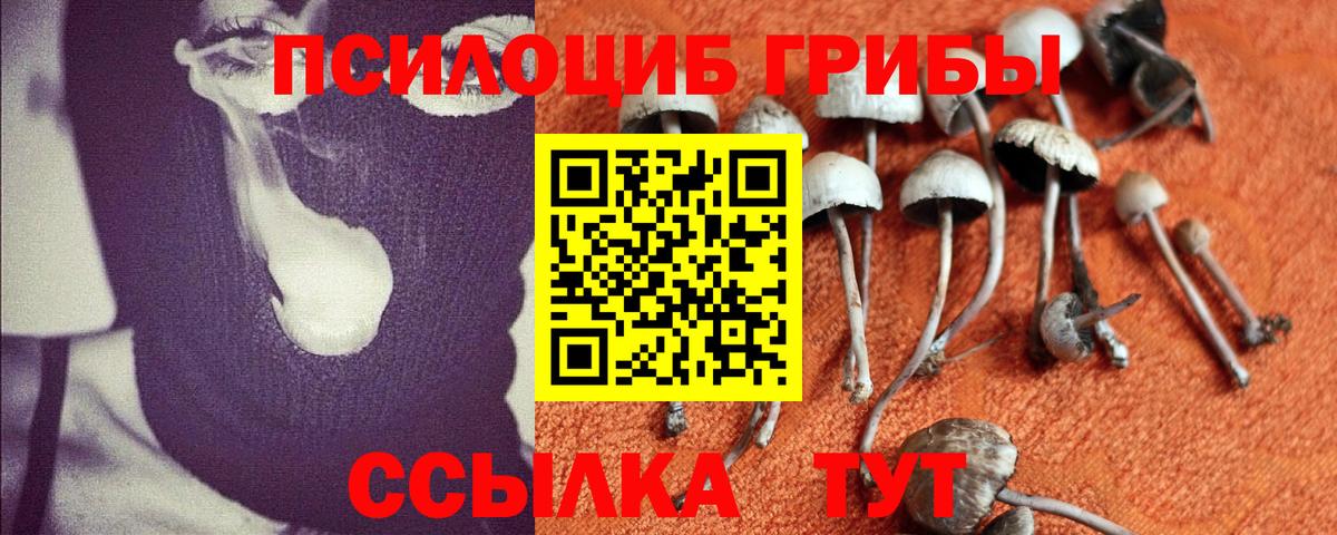Галлюциногенные грибы мухоморы  Вход с VPN  цена   Шебекино 